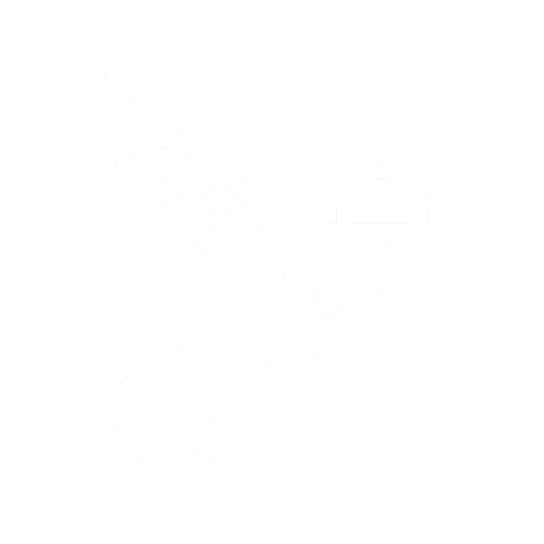 feature-item-1